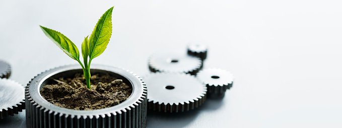 المسؤولية المجتمعية للشركات والمؤسسات